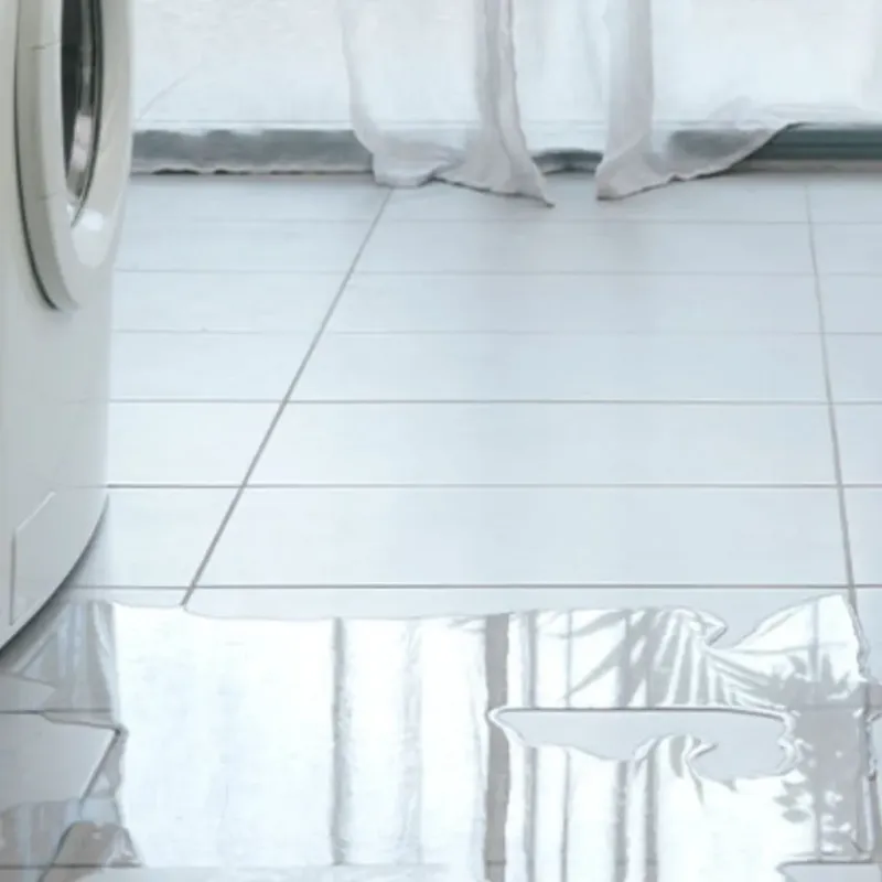 Appliance Leak Cleanup in Anderson, TX