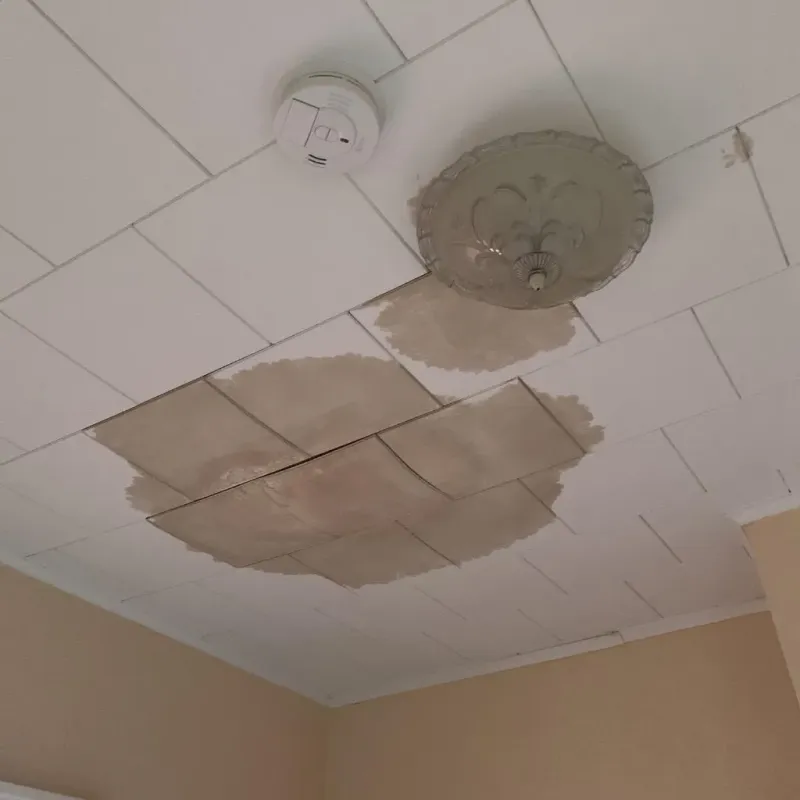Ceiling Water Damage Repair in Anderson, TX