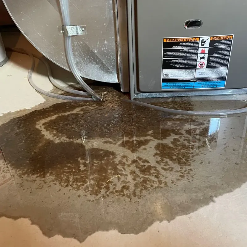 Pipe Burst and Leak Restoration in Anderson, TX