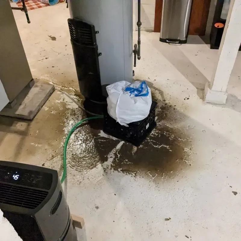 Sewage Backup Cleanup Service in Anderson, TX